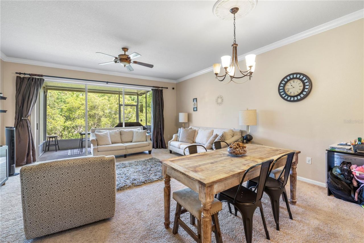 26645 Castleview Way, Wesley Chapel, FL 33544 Photo