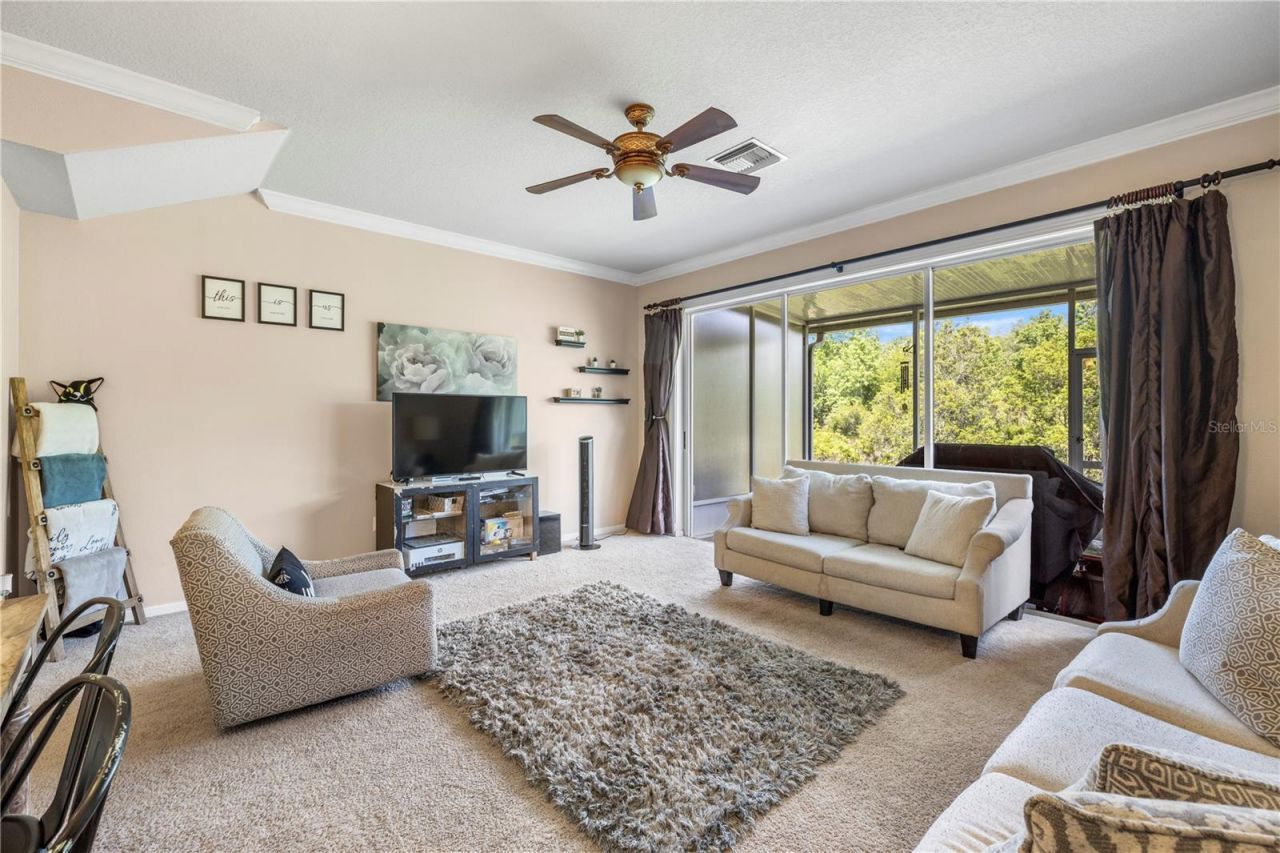 26645 Castleview Way, Wesley Chapel, FL 33544 Photo