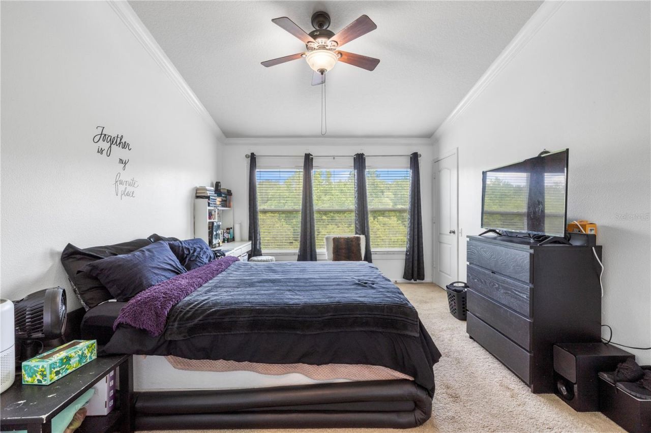 26645 Castleview Way, Wesley Chapel, FL 33544 Photo