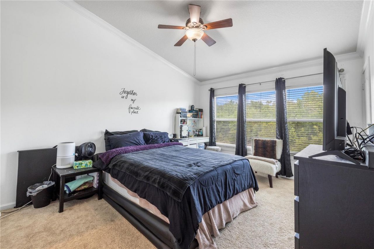 26645 Castleview Way, Wesley Chapel, FL 33544 Photo