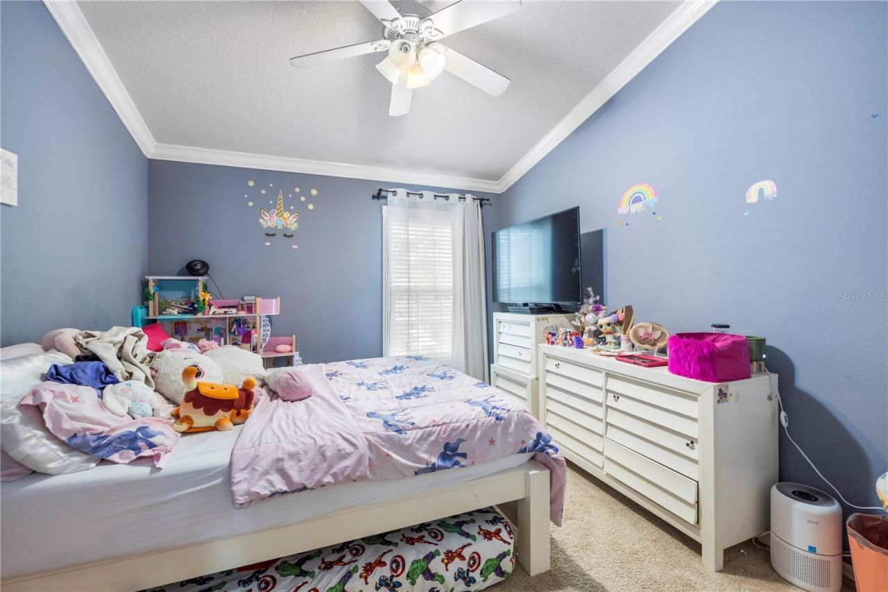 26645 Castleview Way, Wesley Chapel, FL 33544 Photo