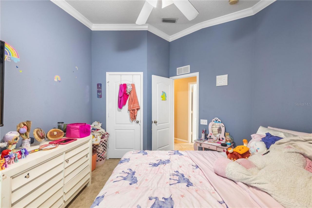 26645 Castleview Way, Wesley Chapel, FL 33544 Photo