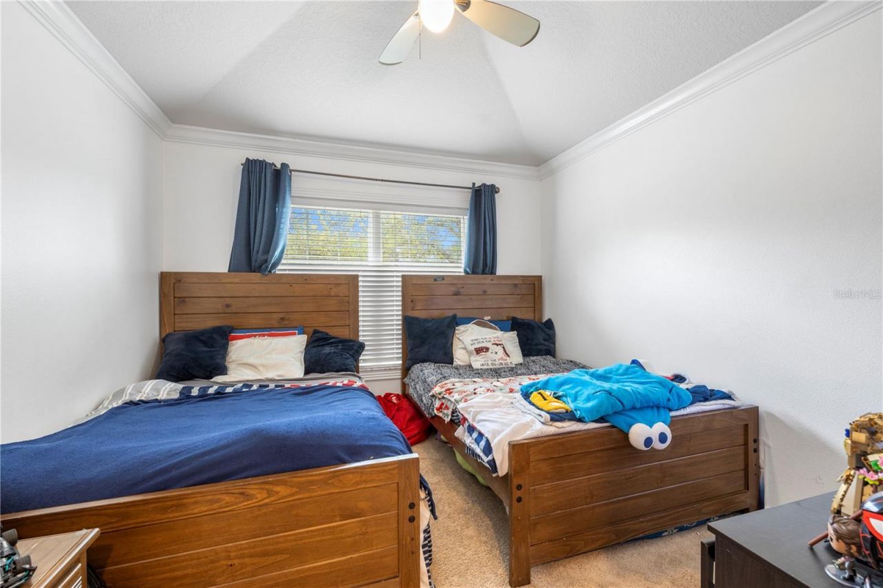 26645 Castleview Way, Wesley Chapel, FL 33544 Photo