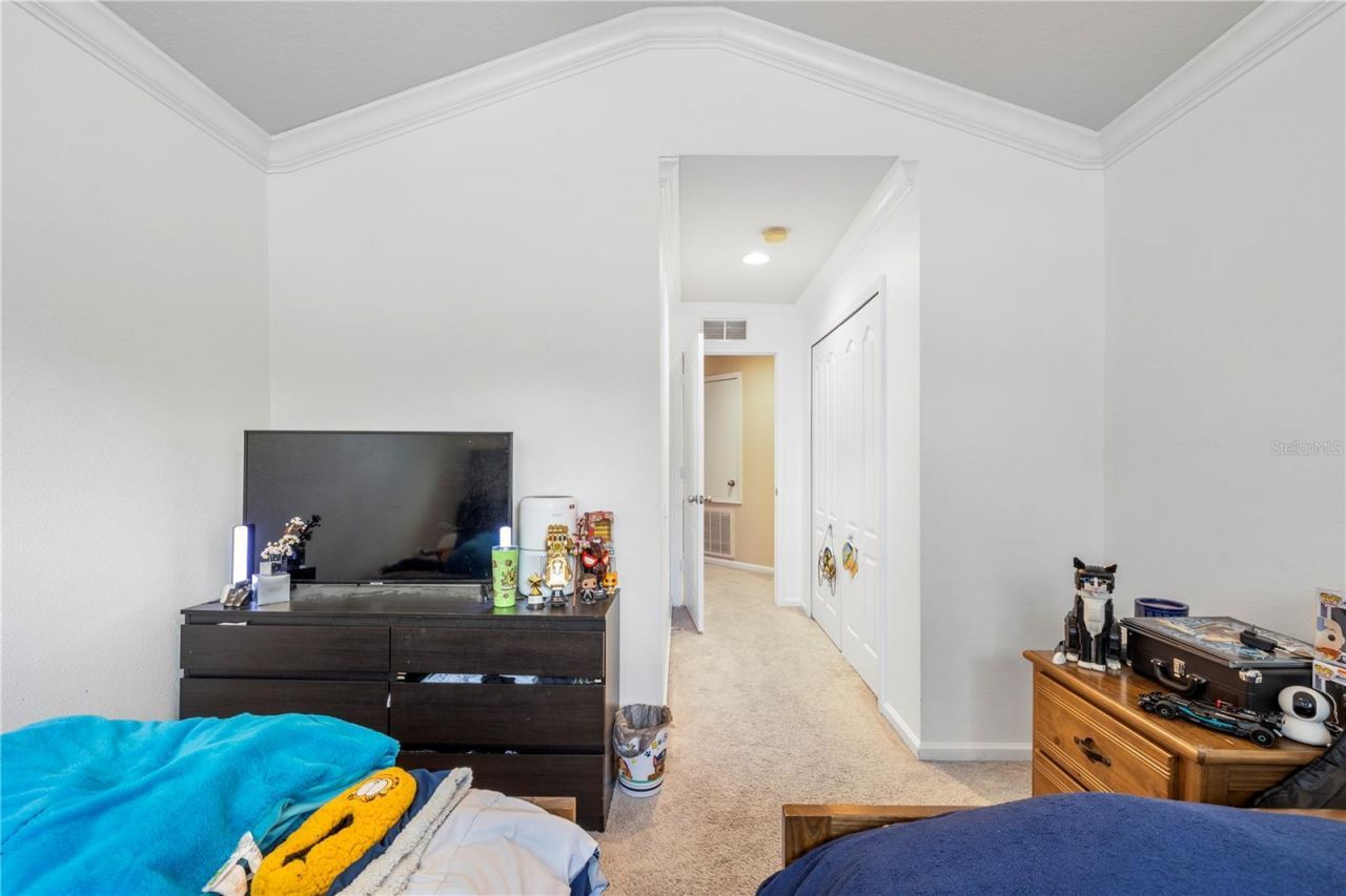 26645 Castleview Way, Wesley Chapel, FL 33544 Photo