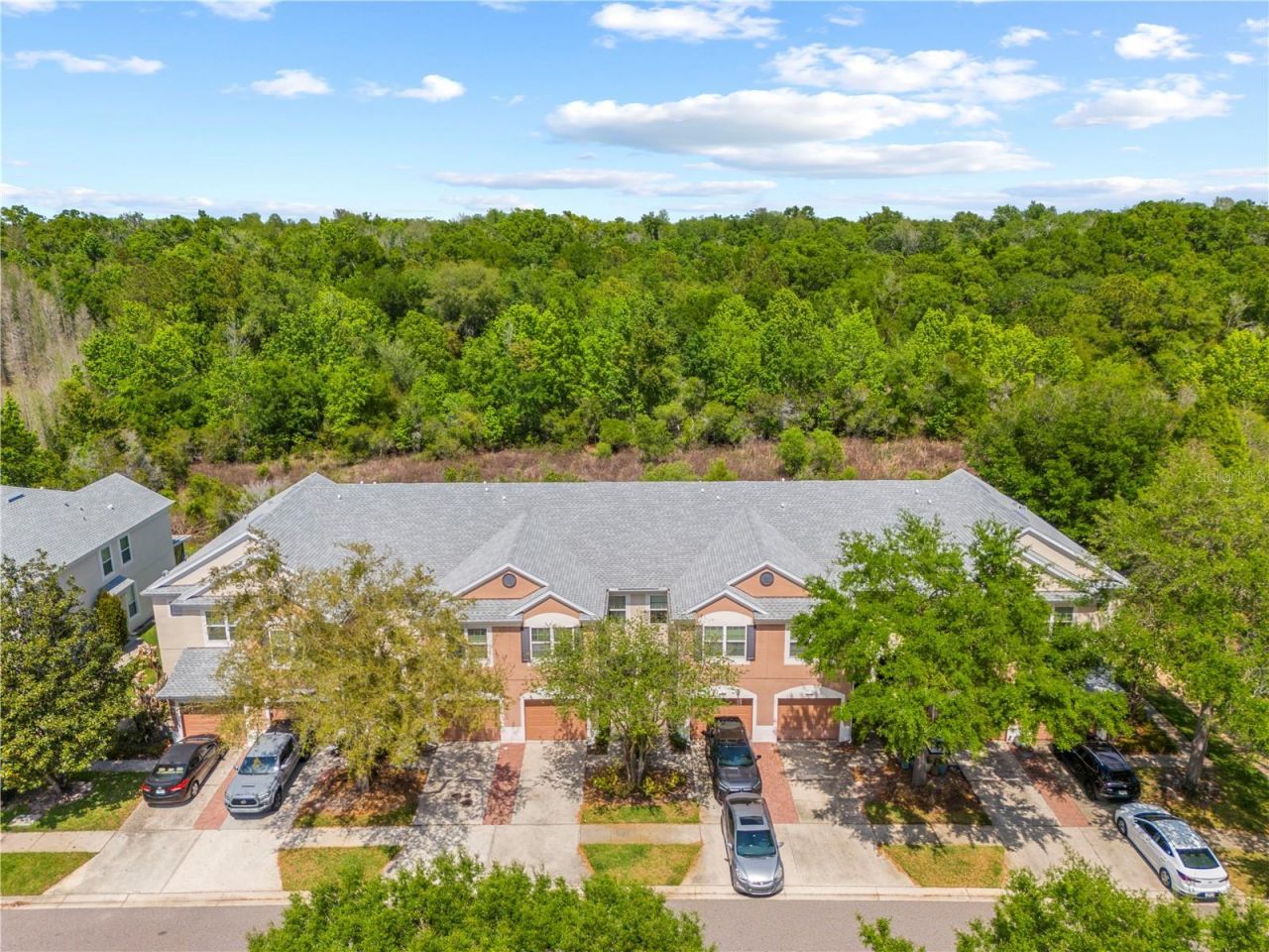26645 Castleview Way, Wesley Chapel, FL 33544 Photo