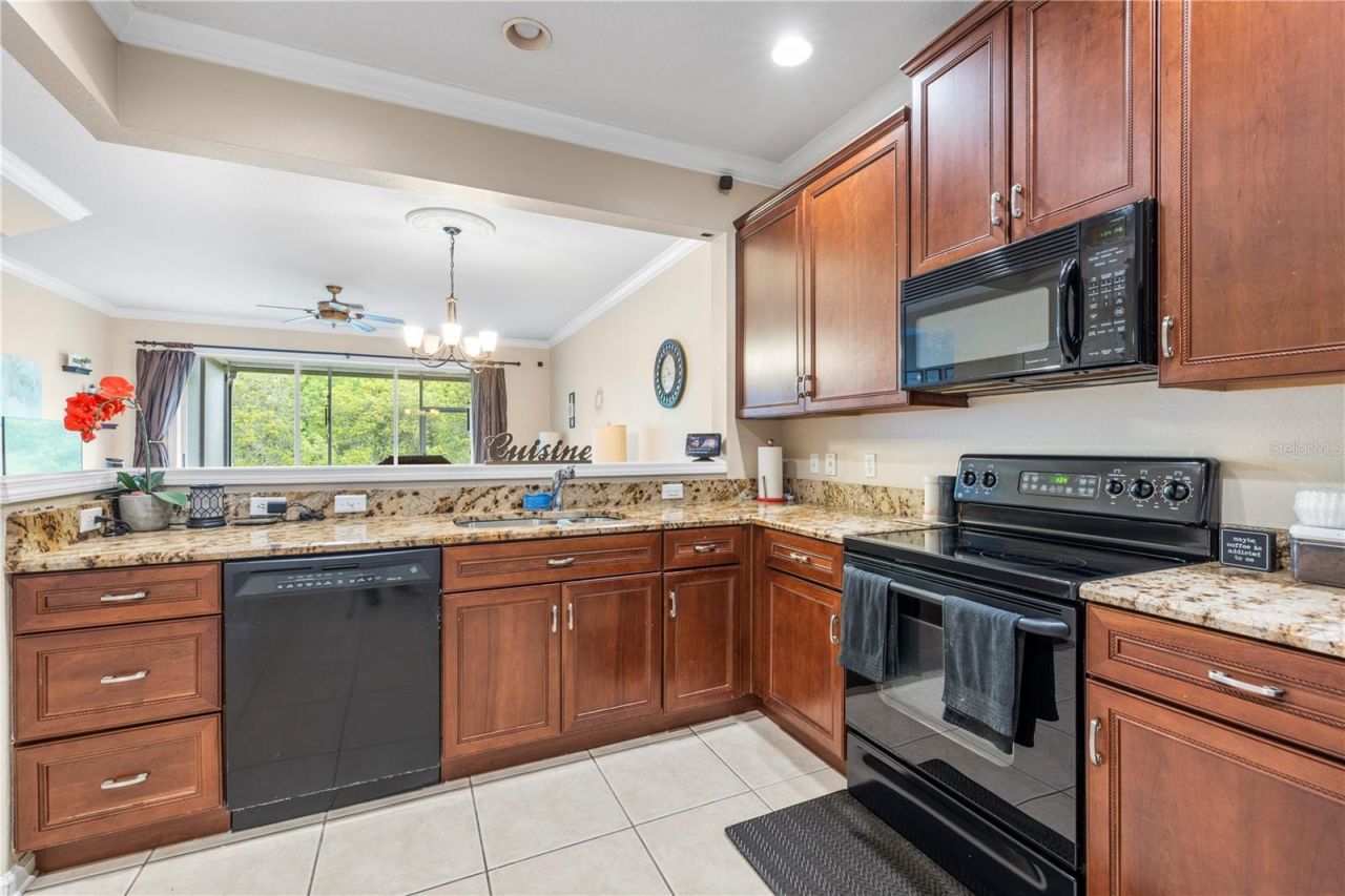 26645 Castleview Way, Wesley Chapel, FL 33544 Photo