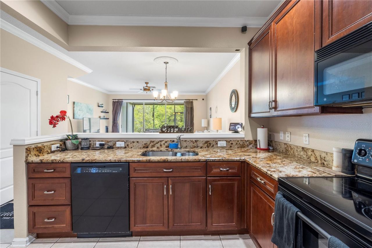 26645 Castleview Way, Wesley Chapel, FL 33544 Photo