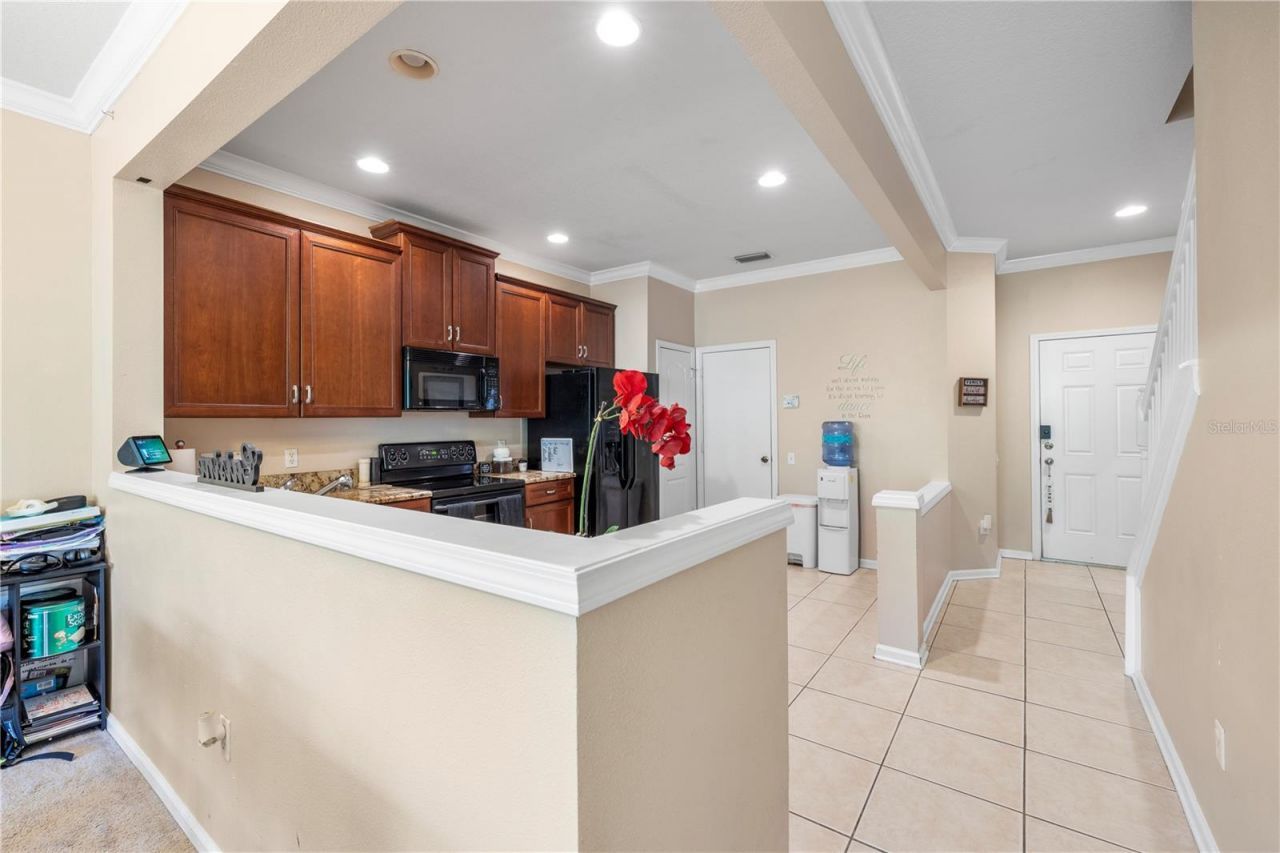 26645 Castleview Way, Wesley Chapel, FL 33544 Photo
