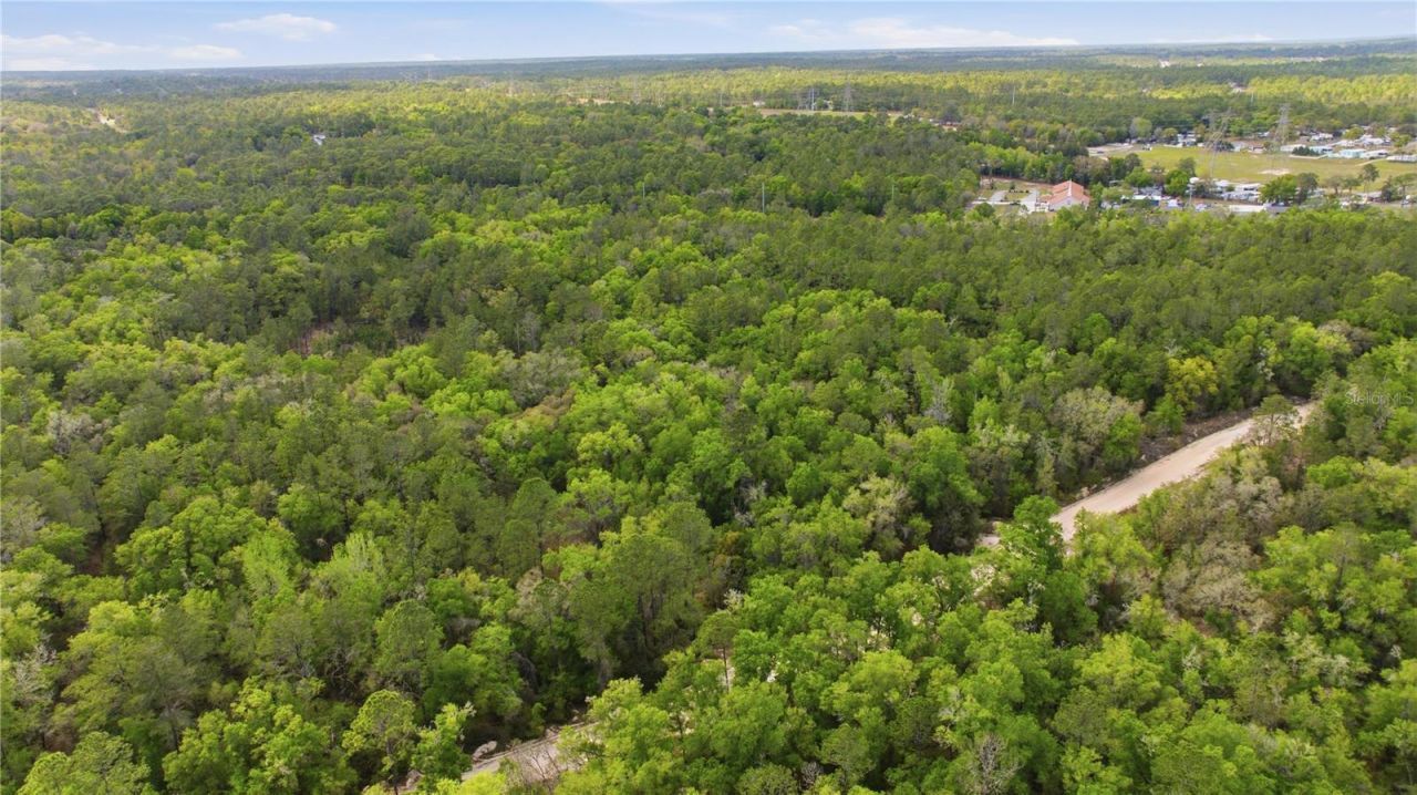 6630 N Treefarm Avenue, Beverly Hills, FL 34465 Photo