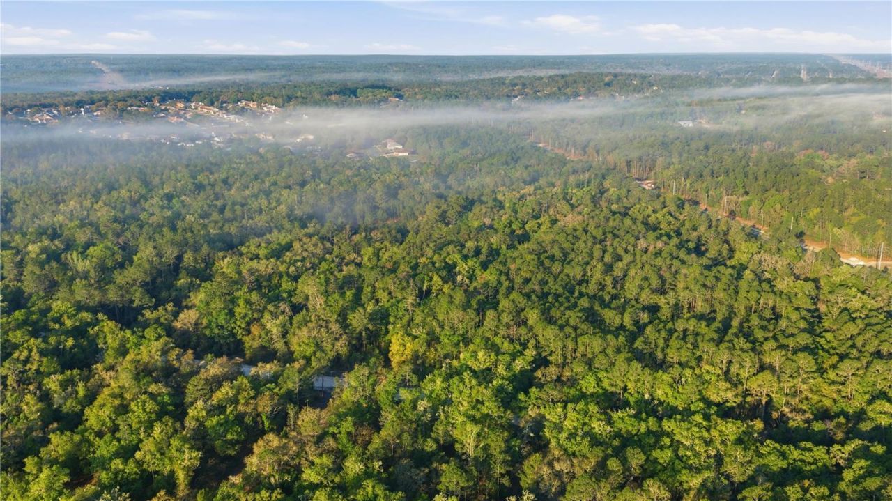 6630 N Treefarm Avenue, Beverly Hills, FL 34465 Photo