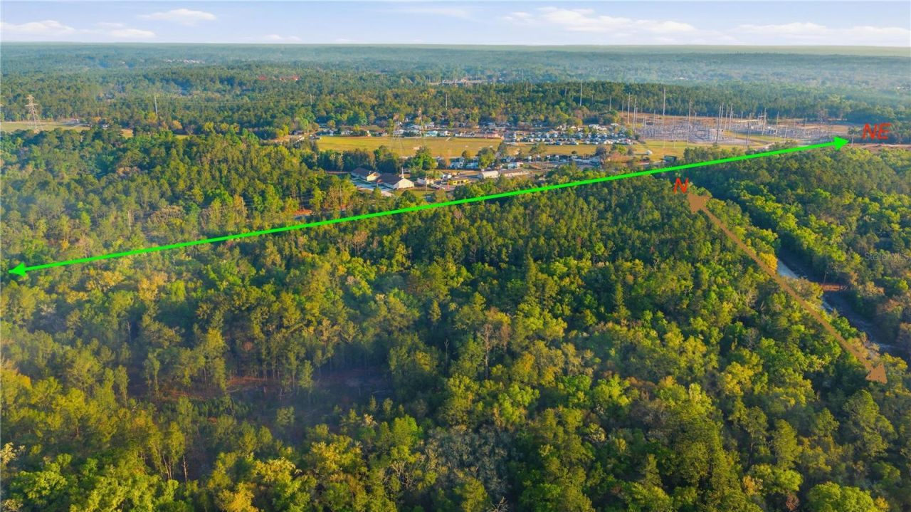 6630 N Treefarm Avenue, Beverly Hills, FL 34465 Photo