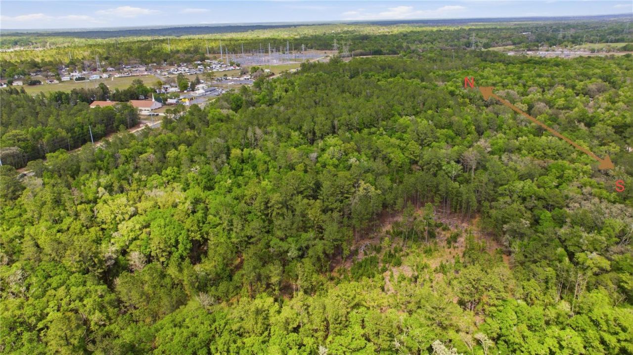 6630 N Treefarm Avenue, Beverly Hills, FL 34465 Photo