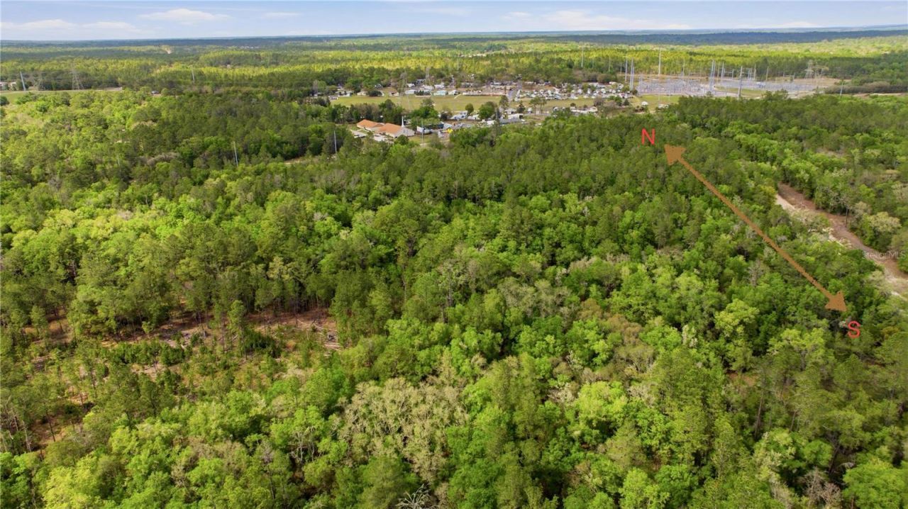 6630 N Treefarm Avenue, Beverly Hills, FL 34465 Photo