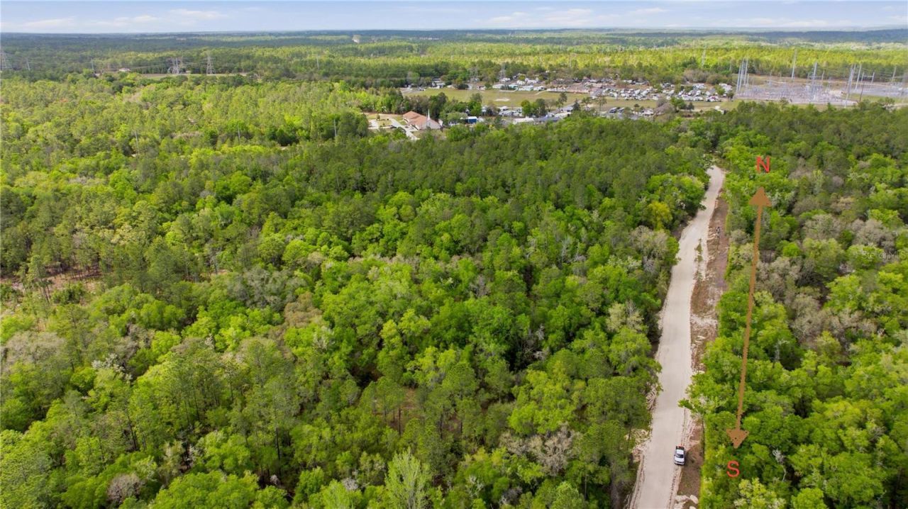 6630 N Treefarm Avenue, Beverly Hills, FL 34465 Photo