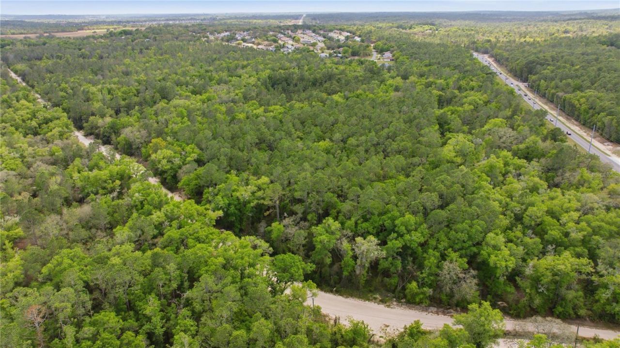 6630 N Treefarm Avenue, Beverly Hills, FL 34465 Photo