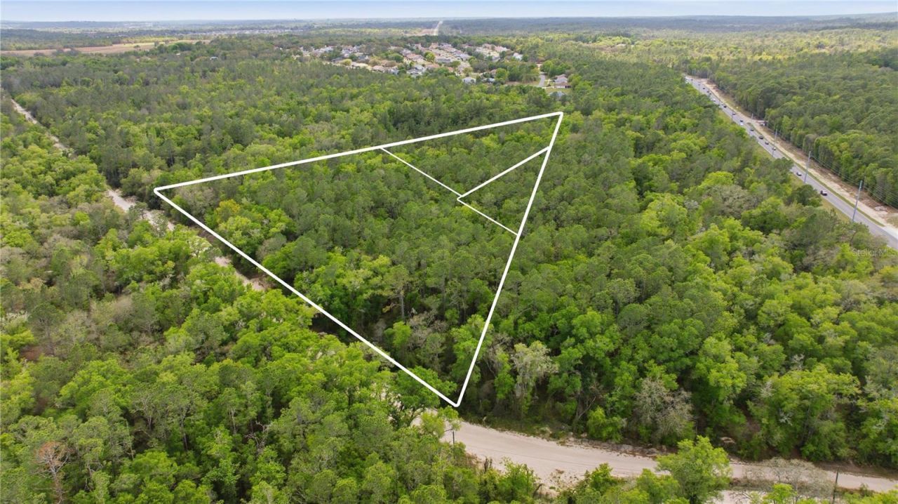 6630 N Treefarm Avenue, Beverly Hills, FL 34465 Photo