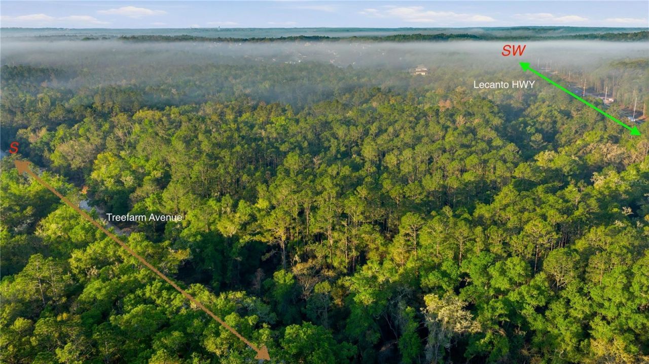 6630 N Treefarm Avenue, Beverly Hills, FL 34465 Photo