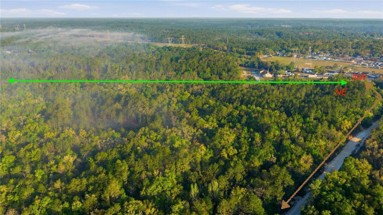 6630 N Treefarm Avenue, Beverly Hills, FL 34465 Photo