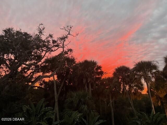 1502 Saxon Drive, New Smyrna Beach, FL 32169 Photo