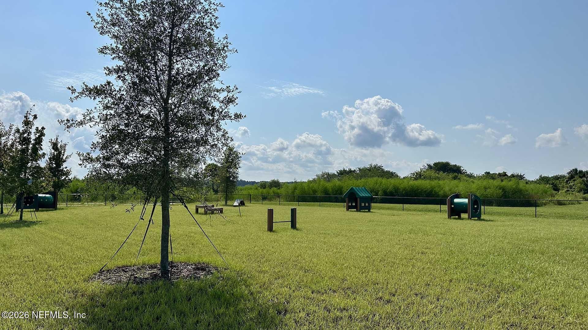 4462 White Ibis Lane, Green Cove Springs, FL 32043 Photo