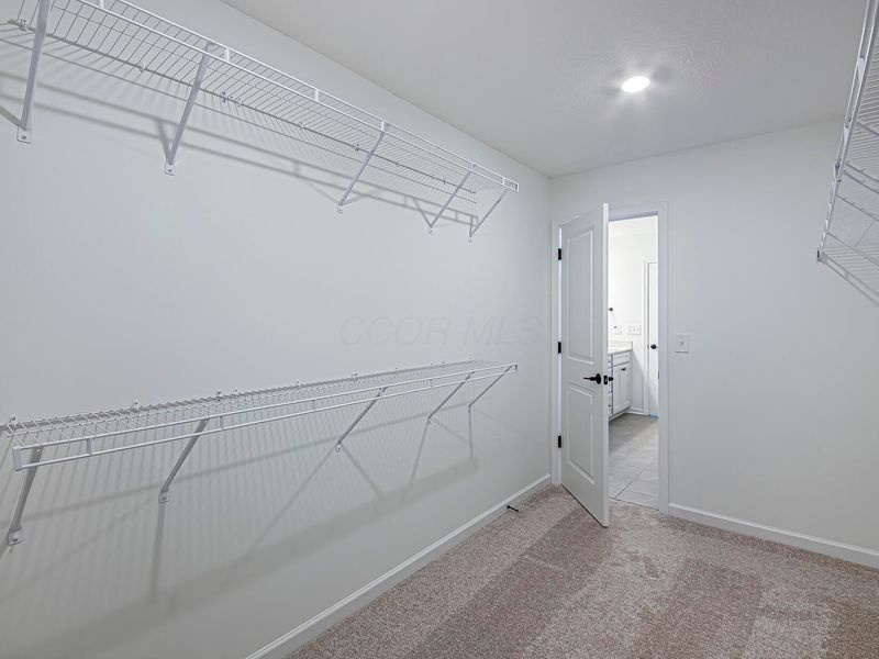 6334 Amarena Drive, Unit Lot 316, Hilliard, OH 43026 Photo 19