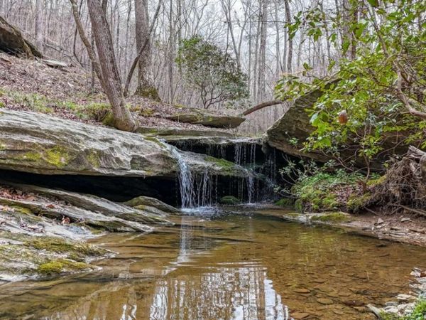 0 Felton Rockmart Road, Buchanan, GA 30113