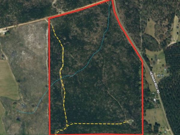 95 +/- AC Sales Road, Mauk, GA 31058