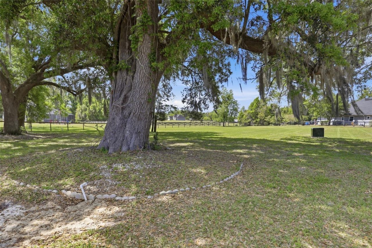 17256 NW 250th Way , High Springs, FL 32643 Photo