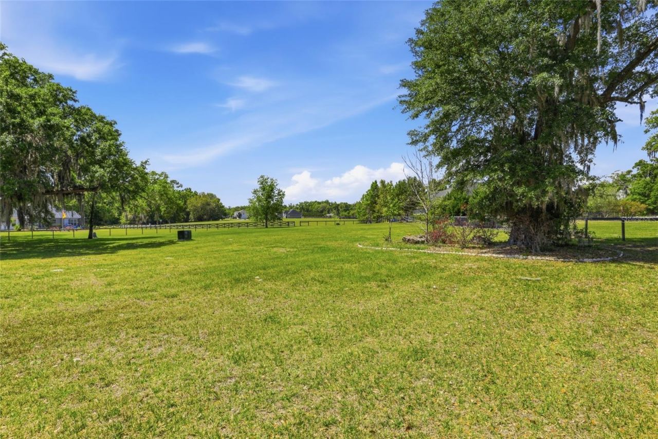 17256 NW 250th Way , High Springs, FL 32643 Photo