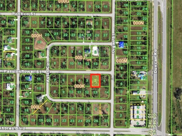 29473 PASSION FLOWER STREET , PUNTA GORDA, FL 33982