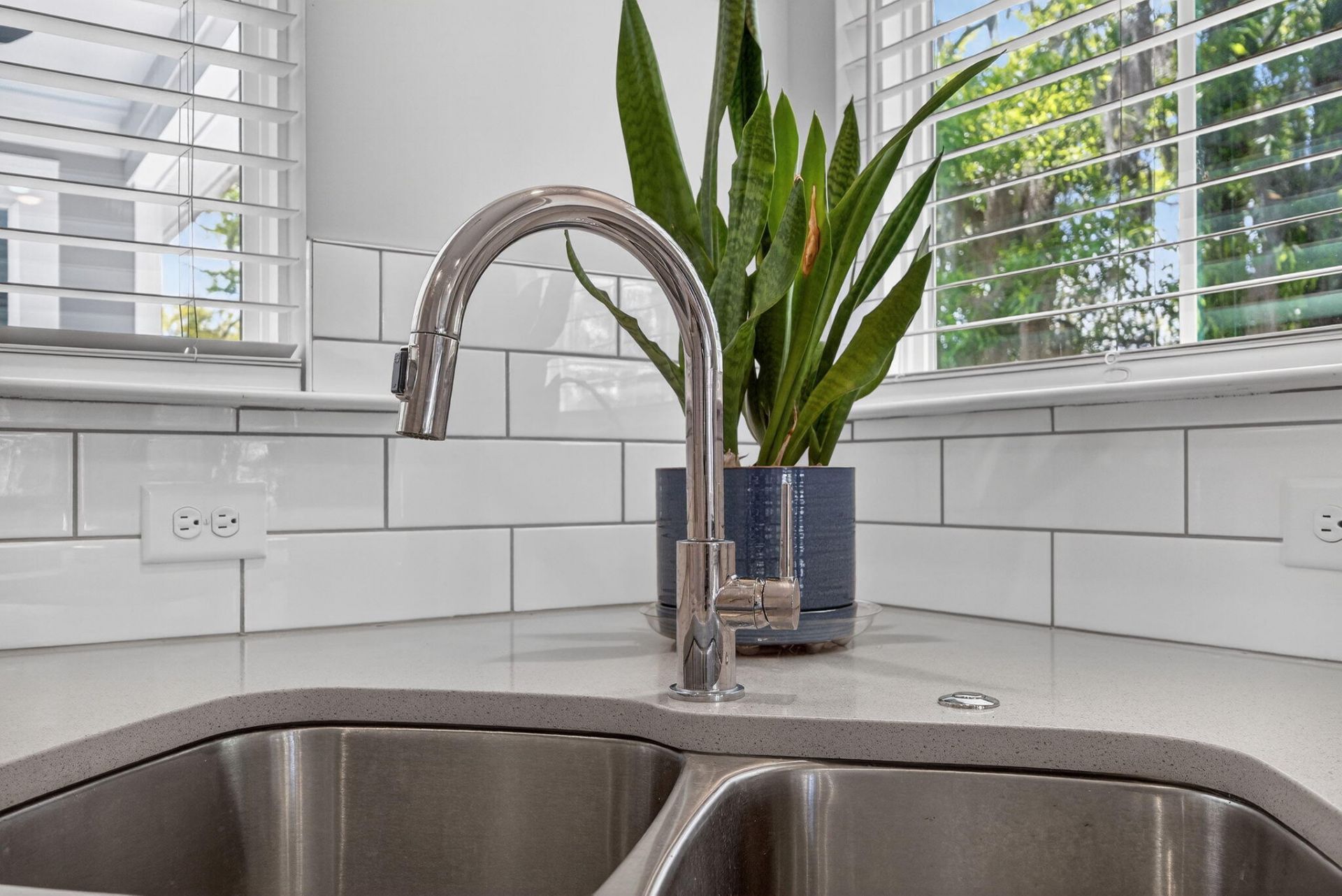 410 Carolina Cherry Photo 20