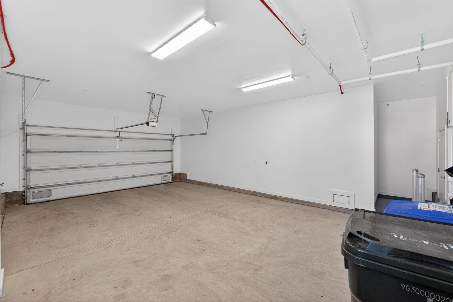 410 Carolina Cherry Photo 34