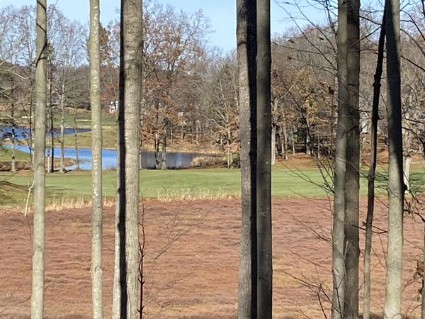 8975 Whispering Lane, Unit 234-235, Canadian Lakes, MI 49346