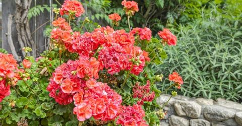 1817 Titian Ct, Davis, CA 95618 Photo