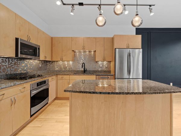 215 10th Avenue S, Unit 230, Minneapolis, MN 55415