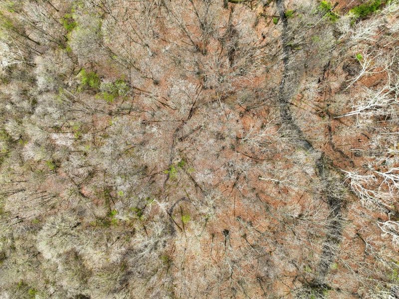 4445 Central College Road, Westerville, OH 43081 Photo 70