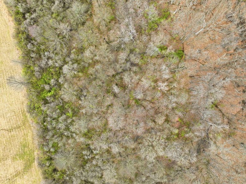 4445 Central College Road, Westerville, OH 43081 Photo 71