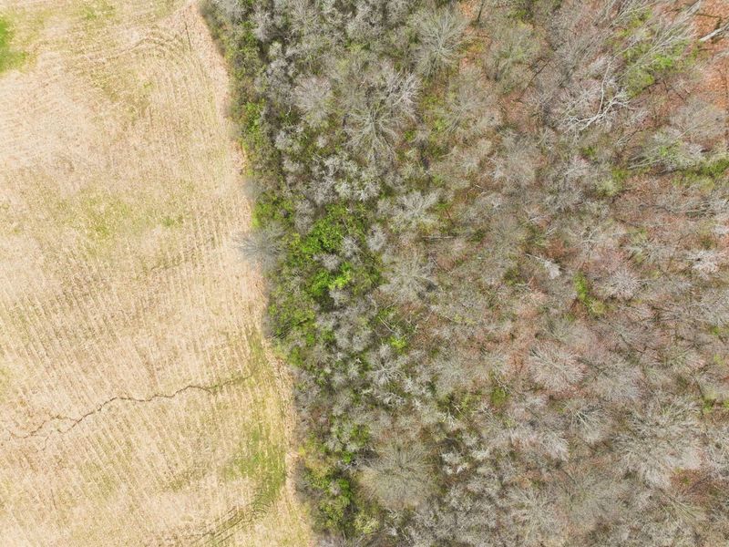 4445 Central College Road, Westerville, OH 43081 Photo 72