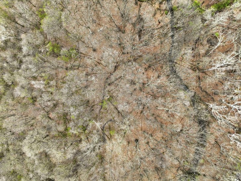 4445 Central College Road, Westerville, OH 43081 Photo 72