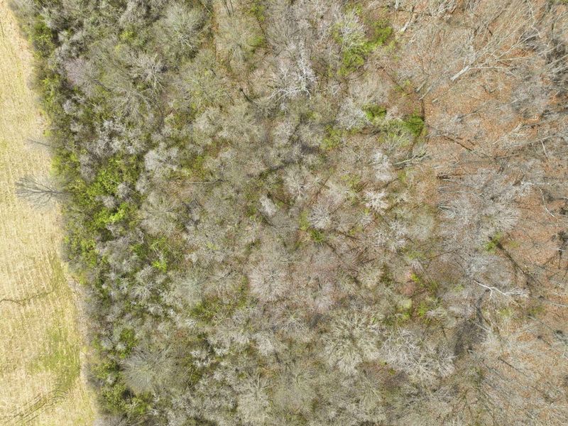 4445 Central College Road, Westerville, OH 43081 Photo 73