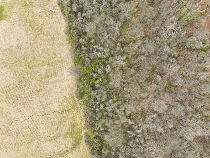 4445 Central College Road, Westerville, OH 43081 Photo 74