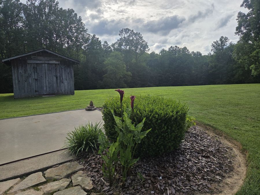 Property Image 63