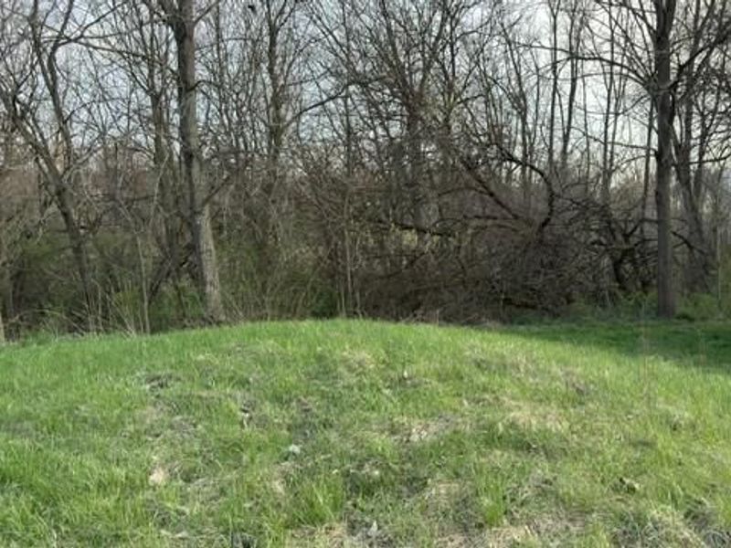 56 Willow Street, Mechanicsburg, OH 43044 Photo 20