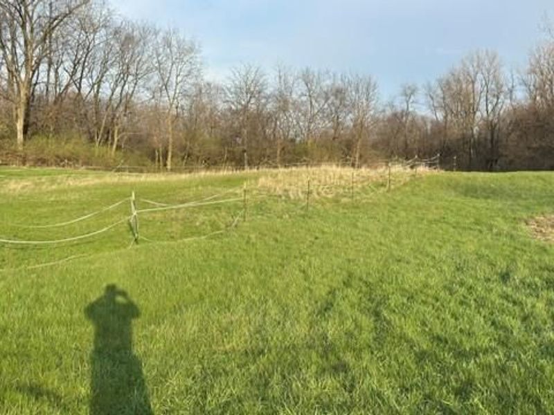 56 Willow Street, Mechanicsburg, OH 43044 Photo 21