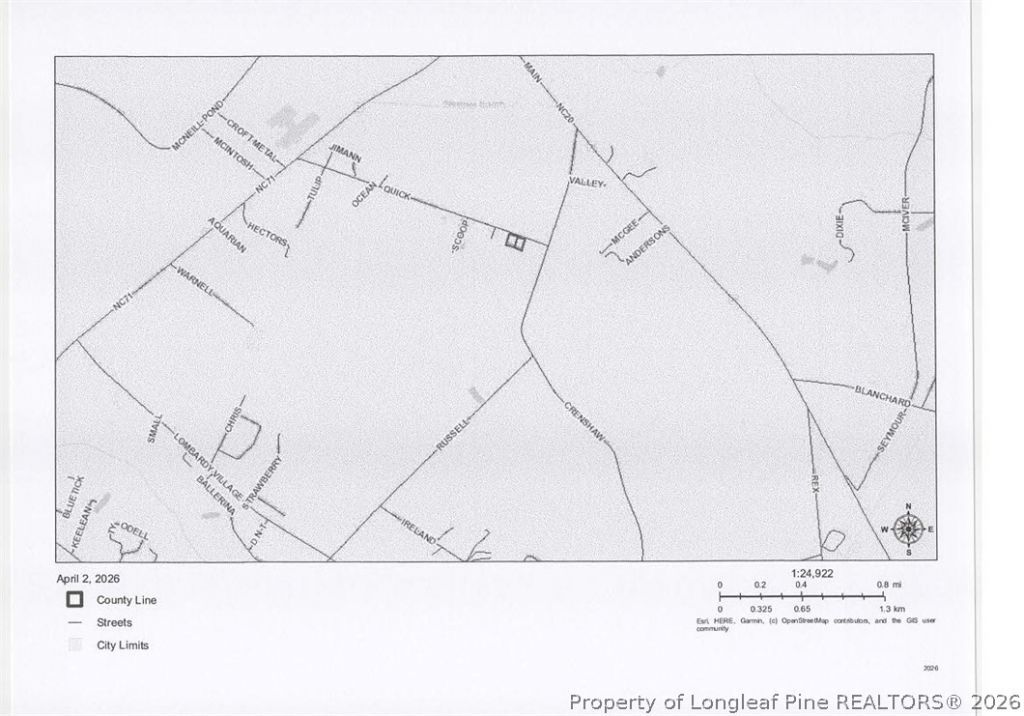 Quick Road, Lumber Bridge, NC 28357 Main Photo