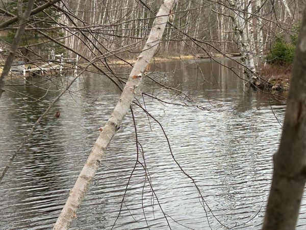 10910 Boxwood Drive, Unit #247, Canadian Lakes, MI 49346