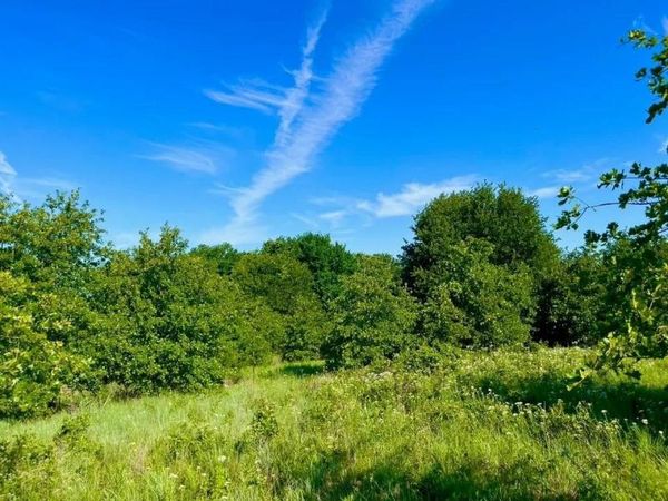 Lot 53 Wicklow Court , Poolville, TX 76487