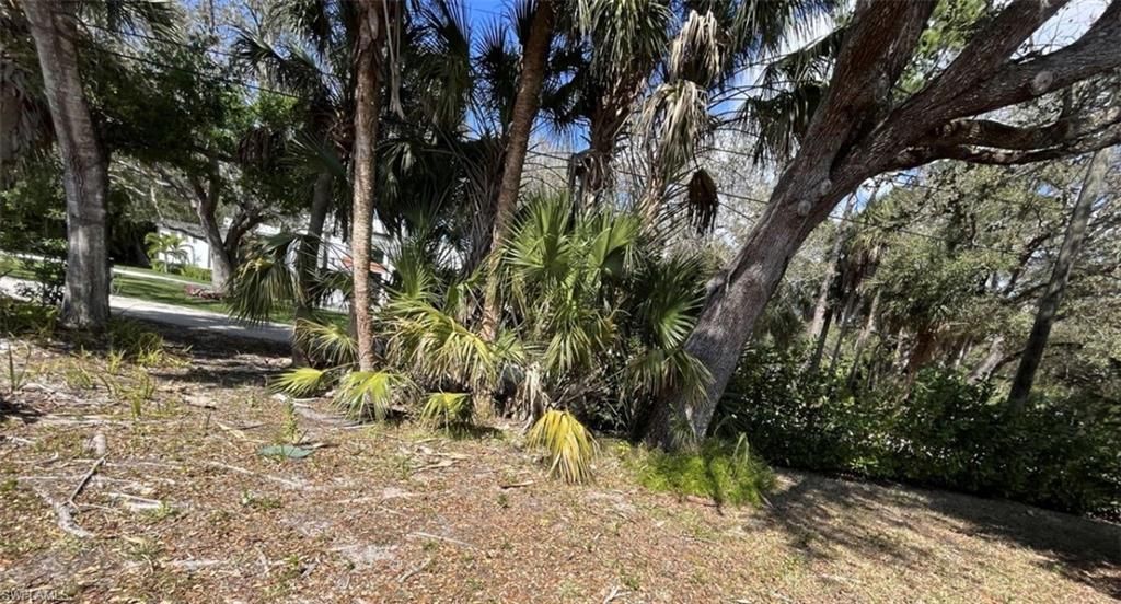 9894 Colonial Walk N, Estero, FL 33928 Photo