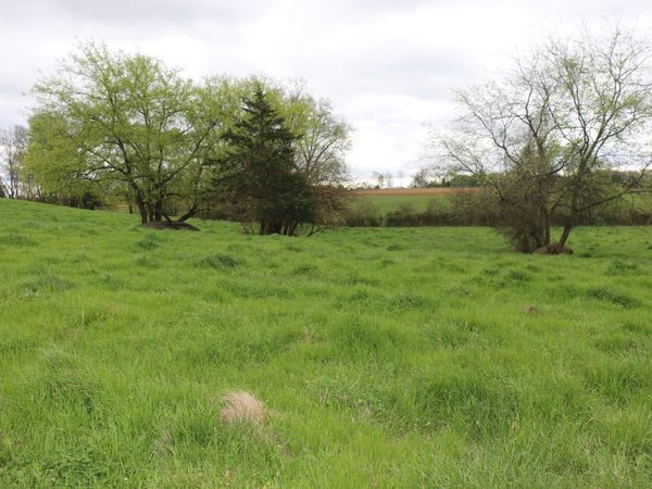 5.51 Acres Campground Road , Madisonville, TN 37354