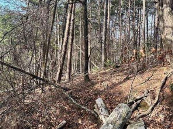 0 Log Swamp Dr. Drive, Jasper, GA 30143